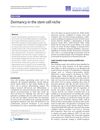 Dormancy in the stem cell niche