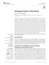 Androgen Action in the Ovary