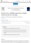 Keratin 79 is a PPARA target that is highly expressed by liver damage