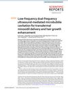 Low-frequency dual-frequency ultrasound-mediated microbubble cavitation for transdermal minoxidil delivery and hair growth enhancement