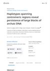 Haplotypes spanning centromeric regions reveal persistence of large blocks of archaic DNA