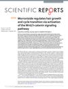 Morroniside regulates hair growth and cycle transition via activation of the Wnt/β-catenin signaling pathway