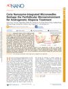 Ceria Nanozyme-Integrated Microneedles Reshape the Perifollicular Microenvironment for Androgenetic Alopecia Treatment