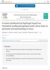 A novel antibacterial hydrogel based on thiolated ovalbumin/gelatin with silver ions to promote wound healing in mice