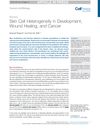 Skin Cell Heterogeneity in Development, Wound Healing, and Cancer