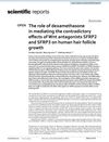 The role of dexamethasone in mediating the contradictory effects of Wnt antagonists SFRP2 and SFRP3 on human hair follicle growth