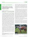 Telogen defluxion associated with hypersensitivity causing alopecia in a horse