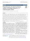 Phytochemistry and pharmacological studies of Plumbago zeylanica L.: a medicinal plant review