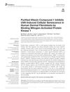 Purified Vitexin Compound 1 Inhibits UVA-Induced Cellular Senescence in Human Dermal Fibroblasts by Binding Mitogen-Activated Protein Kinase 1