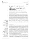 Regulatory T-Cells: Potential Regulator of Tissue Repair and Regeneration