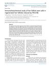 Immunohistochemical study of hair follicle stem cells in regenerated hair follicles induced by Wnt10b