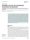 MicroRNAs in the Skin: Role in Development, Homeostasis, and Regeneration