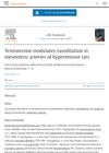 Testosterone modulates vasodilation in mesenteric arteries of hypertensive rats