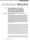 Topical Delivery of Protein and Peptide Using Novel Cell Penetrating Peptide IMT-P8