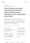 eLife assessment: Touch receptor end-organ innervation and function require sensory neuron expression of the transcription factor Meis2