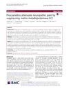 Procyanidins attenuate neuropathic pain by suppressing matrix metalloproteinase-9/2