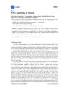 WNT Signaling in Disease
