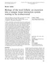 Biology of the wool follicle: an excursion into a unique tissue interaction system waiting to be re‐discovered