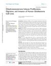 &lt;p&gt;Dihydrotestosterone Induces Proliferation, Migration, and Invasion of Human Glioblastoma Cell Lines&lt;/p&gt;
