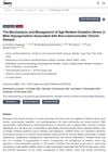 The Mechanisms and Management of Age-Related Oxidative Stress in Male Hypogonadism Associated with Non-communicable Chronic Disease
