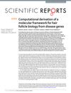 Computational derivation of a molecular framework for hair follicle biology from disease genes