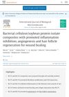 Bacterial cellulose/soybean protein isolate composites with promoted inflammation inhibition, angiogenesis and hair follicle regeneration for wound healing