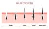 2025 Official beginner guide for “I’m losing my hair, what can I do?”