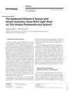 The Epidermal Vitamin D System and Innate Immunity: Some More Light Shed on This Unique Photoendocrine System?