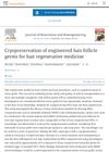 Cryopreservation of engineered hair follicle germs for hair regenerative medicine