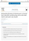 Immunolocalization of telomerases in human hairs identifies proliferating cells in the bulb matrix and outer root sheath