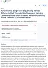10×Genomics Single-cell Sequencing Reveals Differential Cell Types in Skin Tissues of Liaoning Cashmere Goats and Key Genes Related Potentially to the Fineness of Cashmere Fiber
