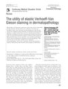 The utility of elastic Verhoeff-Van Gieson staining in dermatopathology