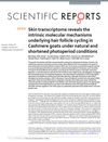 Skin transcriptome reveals the intrinsic molecular mechanisms underlying hair follicle cycling in Cashmere goats under natural and shortened photoperiod conditions