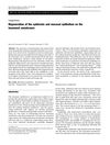 Regeneration of the epidermis and mucosal epithelium on the basement membranes