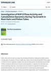 Investigation of ROP GTPase Activity and Cytoskeleton Dynamics During Tip Growth in Root Hairs and Pollen Tubes