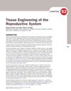 Tissue Engineering of the Reproductive System