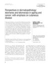 Perspectives in dermatopathology: telomeres and telomerase in ageing and cancer; with emphasis on cutaneous disease