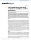 High-Throughput Phenotyping Methods for Quantifying Hair Fiber Morphology