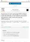 Expression of anti-aging type-XVII collagen (COL17A1/BP180) in hair follicle-associated pluripotent (HAP) stem cells during differentiation