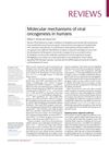Molecular mechanisms of viral oncogenesis in humans
