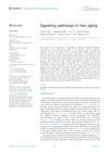 Signaling pathways in hair aging