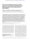 The transcriptional repressor CDP (Cutl1) is essential for epithelial cell differentiation of the lung and the hair follicle