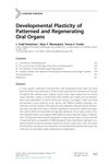 Developmental Plasticity of Patterned and Regenerating Oral Organs