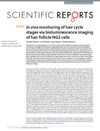 In vivo monitoring of hair cycle stages via bioluminescence imaging of hair follicle NG2 cells