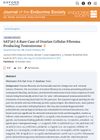 SAT367 A Rare Case of Ovarian Cellular Fibroma Producing Testosterone