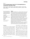 The clinicopathological spectrum of trichoepitheliomas: a retrospective descriptive study