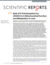 Role of S-Palmitoylation by ZDHHC13 in Mitochondrial function and Metabolism in Liver