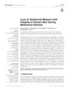 Loss of ‘Epidermal Melanin Unit’ Integrity in Human Skin During Melanoma-Genesis