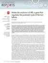 Molecular evolution of HR, a gene that regulates the postnatal cycle of the hair follicle