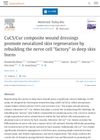 CuCS/Cur composite wound dressings promote neuralized skin regeneration by rebuilding the nerve cell "factory" in deep skin burns